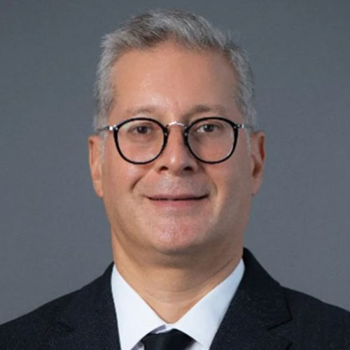 His Excellency Karim Badawi